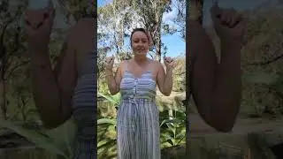 Wellness Retreat Reviews
