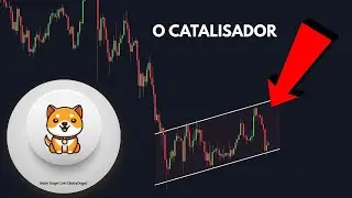 BABY DOGE COIN A TESE MAIS FORTE EM 2026... &Eacute; ESSA (Sem Hype)