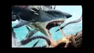 Top 10 Shark Movies