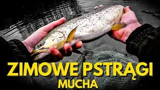 Zimowa Wyprawa Po Pstrąga - Mucha, Mróz i Ryby