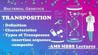Transposition| Types of Transposons| Bacterial Genetics| AMS Microbiology| MBBS 2nd Year