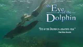 Eye of the dolphin movie ending credits