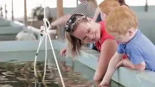 Huka Prawn Park - A park full of fun!