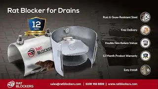 Rat Blocker for Drains   Rat Prevention Non Return Valve, rat flap system