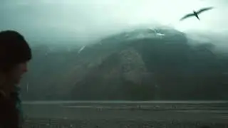 City to Wilderness
