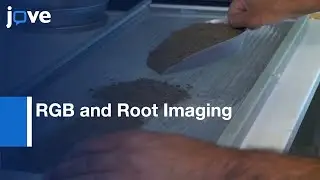 RGB and Root Imaging for Plant Phenotyping and Physiological Research | Protocol Preview