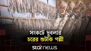 দুবলার চরের শুটকি পল্লীতে চাঁদাবাজি ও জলদস্যু আতঙ্ক, নিরাপত্তার দাবি | Sundarban | Star News