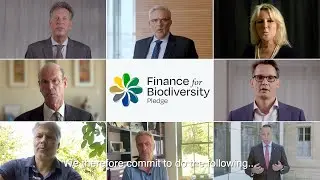 Financial institutions pledge for biodiversity