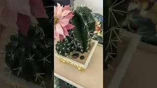 video 2025 12 29 04 08 55