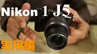 Nikon 1 J5・実際の持ち出し方と作例紹介・1型にしては濃いと感じる画質が印象的です・高感度、ネイチャー、スナップ、カモ。