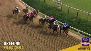 2017 Forego Stakes - Drefong