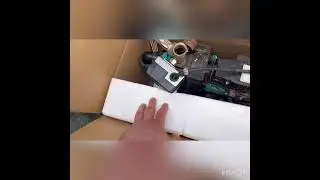 Новый хряк Ландрас принялся  за работу!