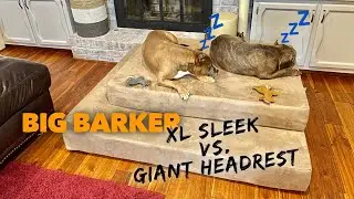 Big Barker XL vs Giant Dog Bed