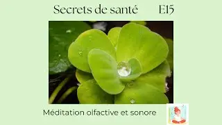 Méditation guidée de fin d’année | Gratitude, intégration et nouveaux possibles - S7E15
