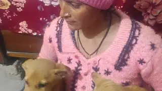 Subha ki namaste , apana pets animal ka sath 🥰🤞🤞@kuldeeptomar007 