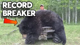 We hunted a RECORD BOOK black bear - The Untold Story