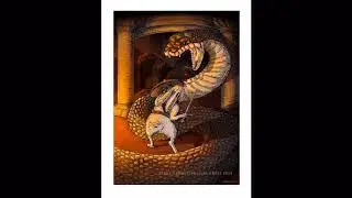ILLUSTRATOR & AUTHOR COLLABORATION