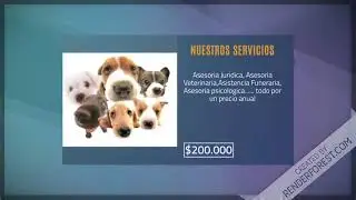 PetService