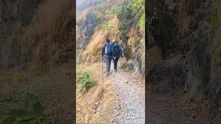 Barahakshetra to Tribeni trail #shorts #travelvlog #reachnepal