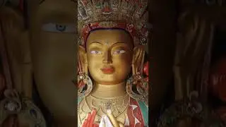 Hemis Monastery of Ladakh #shorts #ladakh #monastery #buddhism #india
