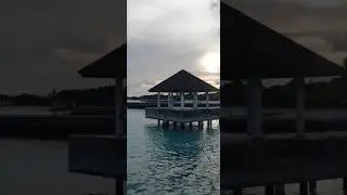 Crab life in Maldives 🦀
