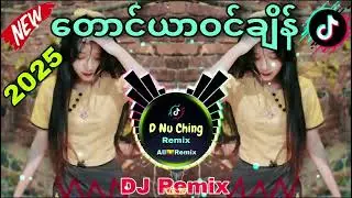 တောင်ယာဝင်ချိန် DJ | NEW SONG 2025
