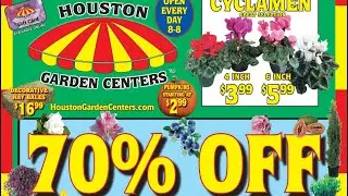 Giảm Gi&aacute; 70% C&acirc;y Hoa C&acirc;y Tr&aacute;i Tại Houston Garden Center. Chậu Hoa C&uacute;c Bự Gi&aacute; $6.
