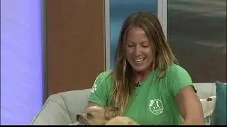 Decoding Dog Language