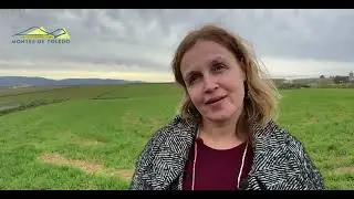 Entrevista a la presidenta del Grupo de Desarrollo Rural Montes de Toledo, Marisa Alguacil.
