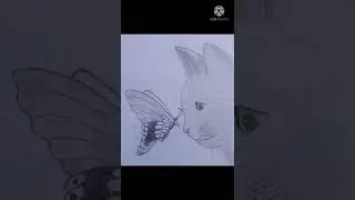 Sketch of butterfly sitting on nose of a cat.....😍