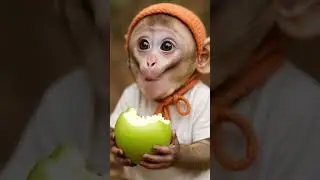 Is This a Baby or a Monkey? That Cheeky Apple Bite Says It All 🍏🐒🍼