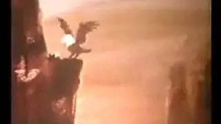 BWW系统文化：雏鹰的故事