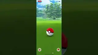 Catching a Shiny Togetic