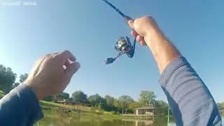 Fall Fishing Crappie Cat and Bass