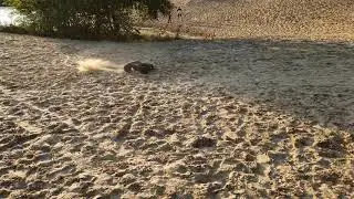 Rc auto Arrma Fazon 6s deel 2