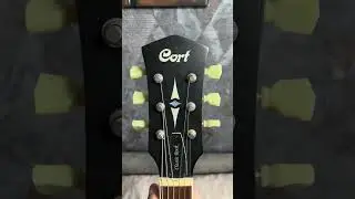 Разговоры о Epiphone Cort Gibson 