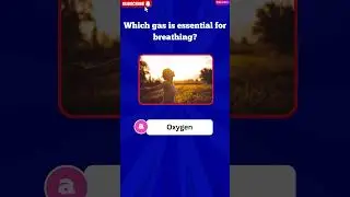 Ultimate GK Quiz in 60s! 🦘 Science, Capitals & Art Challenge | QuizZen