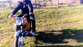 Dabnik Simsoncross 2