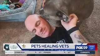 A look inside the bond between a veteran and his dog