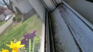Delivery driver blasting music outside