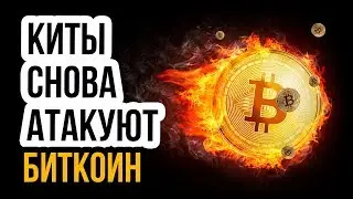 🙈 BTC АНАЛИЗ БИТКОИНА! ПРОГНОЗ РОСТА BITCOIN И НОВОСТИ БИТКОИНА 2019