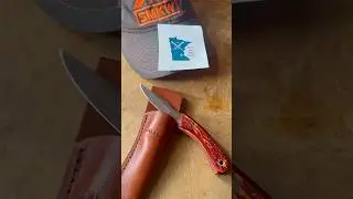 Bear & Son SD42 Caping Knife #usamade #fixedblade #fixedbladefriday #scottymccreery #countrymusic