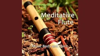 Modern Classical Moods