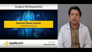 Brachial Plexus Injuries - Forelimb Nerve Injuries