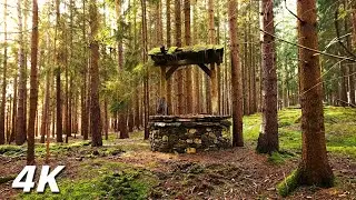 To The Medieval Ruins In The Forest - ASMR Town Ruins In The Forest Walk No Talking