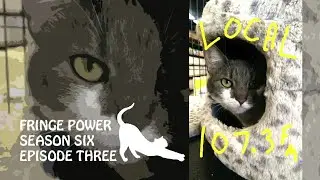 Fringe Power 6x03 podcast