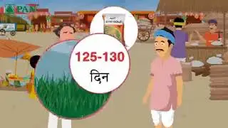 PAN PADDY SEEDS