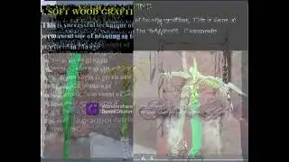 VEGETATIVE PROPAGATION-GRAFTING (SEM VI BSc FINAL YEAR)