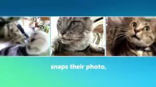 Candid Catmera