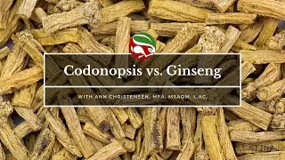 Codonopsis vs. Ginseng